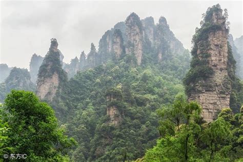 知者樂水，仁者樂山